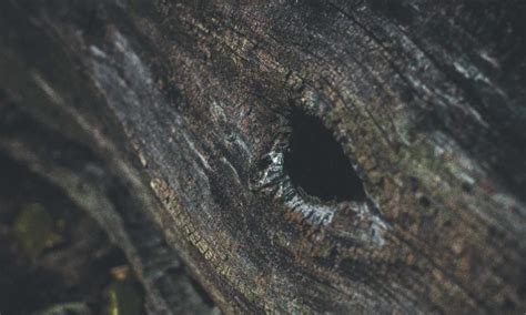 YouPorn S First Annual 2018 Year In Report Strokes Your Thirst For Porn Data