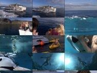 Sabina Casarova Nude Pics Videos Sex Tape