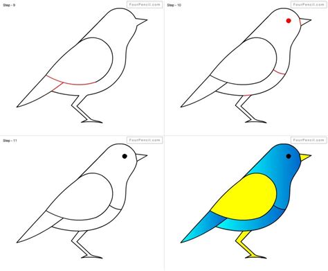 Bird Drawing For Kids Step By Step