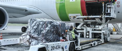 Tap Cargo Premeia Agentes De Carga