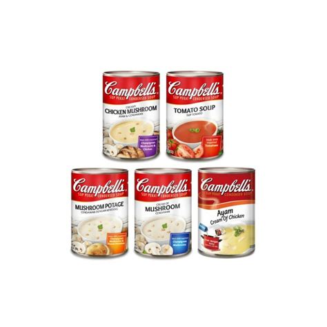 Campbell's Creamy Chicken Mushroom Instant Soup 305G – Pasar Mini G'Mas