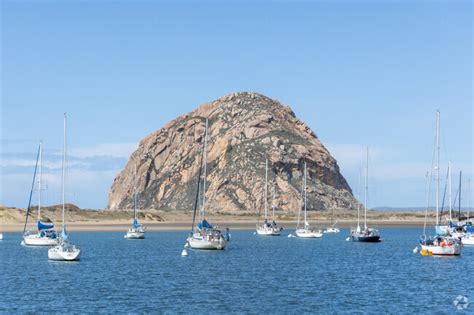 morro bay ca city guide  living  morro bay homescom