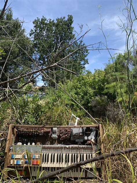 Best Musical Instruments Images On Pholder Artefact Porn Mildlyinteresting And Lingling Hrs