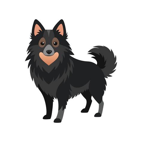 Schipperke Dog Bold Outline Artistic Illustration 59075410 Vector Art