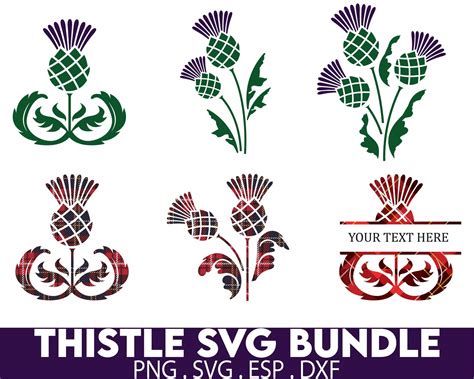 Scottish Thistle Tartan Svg Png Bundle Thistle Digital Art Scottish