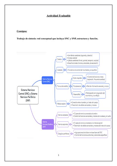 Actividad Evaluable Mapa Conceptual Actividad Evaluable Consigna