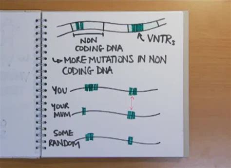 Naked Scrapbook DNA Fingerprinting Naked Scientists