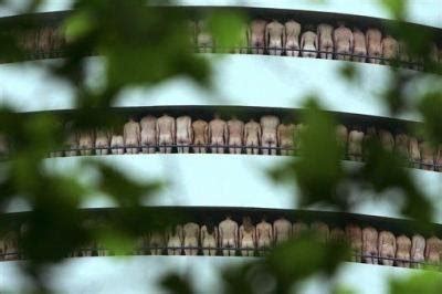 Gather For Nude Shoot In Amsterdam