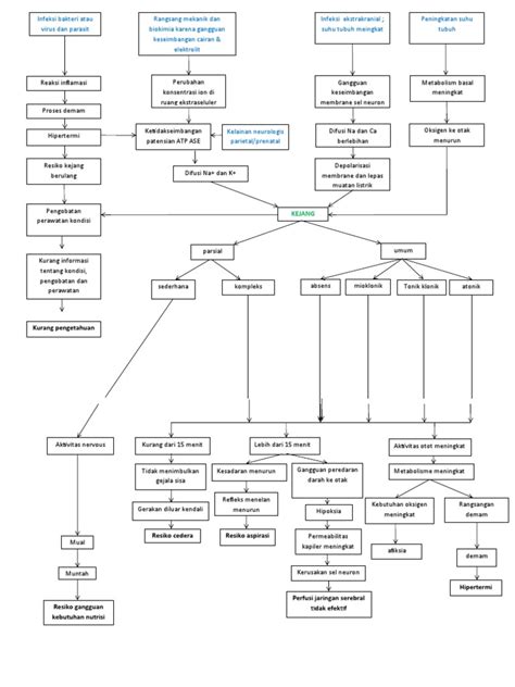 Woc Kejang Demam Pdf