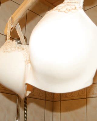 Open Cup Bra Porn Pictures Xxx Photos Sex Images Pictoa