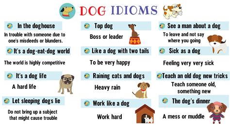 Dog Idioms And Sayings List Of 35 Interesting Idioms Related To Dog
