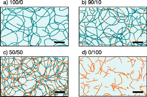Simulation snapshots of structures self-assembled in the molecular ...