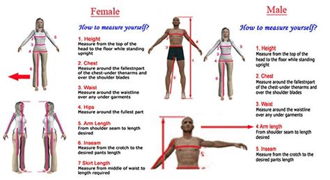 How To Measure Yourself R Coolguides