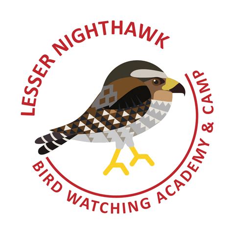 Lesser Nighthawk - Bird Watching Academy