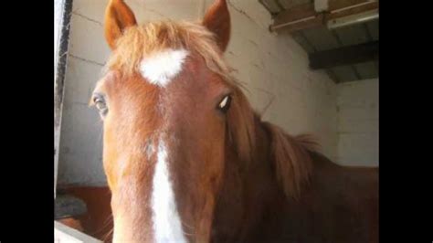 Hasting... - YouTube