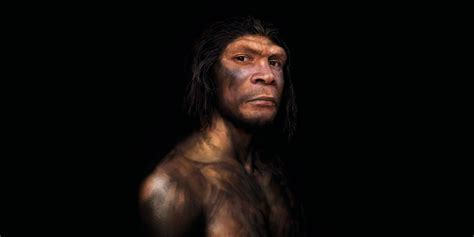 Museum exhibit in Norway reveals new details on Neanderthals