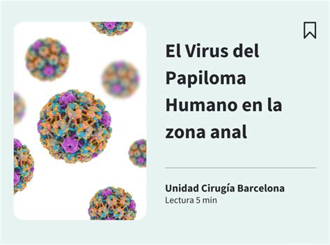 El Virus Del Papiloma Humano En La Zona Anal Unidad Cirugia Barcelona