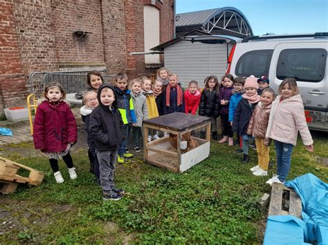 Des poules à l école Ecole Collège Notre Dame Flixecourt