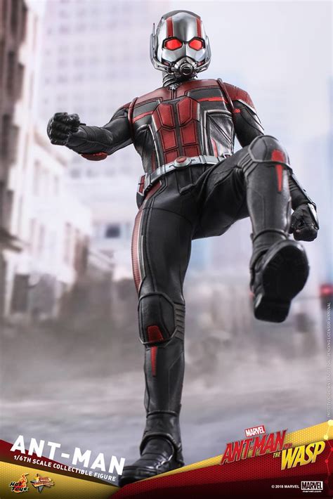 Hot Toys MMS 蟻人與黃蜂女蟻人 Ant Man 比例人偶作品