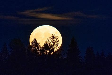 Harvest Moon Spiritual Meaning Origin And Rituals For September Full