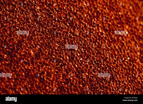 Texture Colored Ethylene Vinyl Acetate Foam Sheets Background Stock