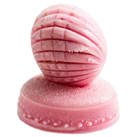 Download Pink Frosted Concha Png Thc56