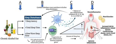 Frontiers An Exploratory Study Of Pro Inflammatory Cytokines In