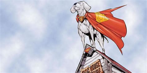 Superman 15 Things You Didnt Know About Krypto The Superdog