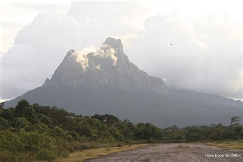 Pico Da Neblina Brasil - Pico da Neblina, o mais alto do Brasil, reabre para turistas - CicloVivo