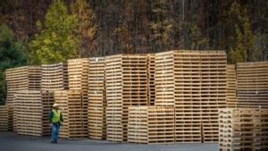 Pallet Sustainability Eco Friendly Pathways Of Pallets