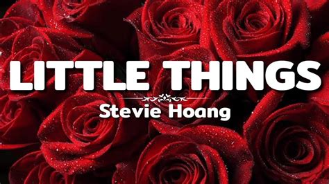 Stevie Hoang Little Things Lyrics Video Youtube