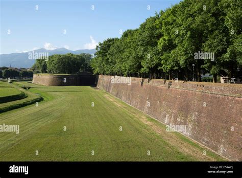 City Walls Lucca Tuscany Italy Europe Stock Photo Alamy