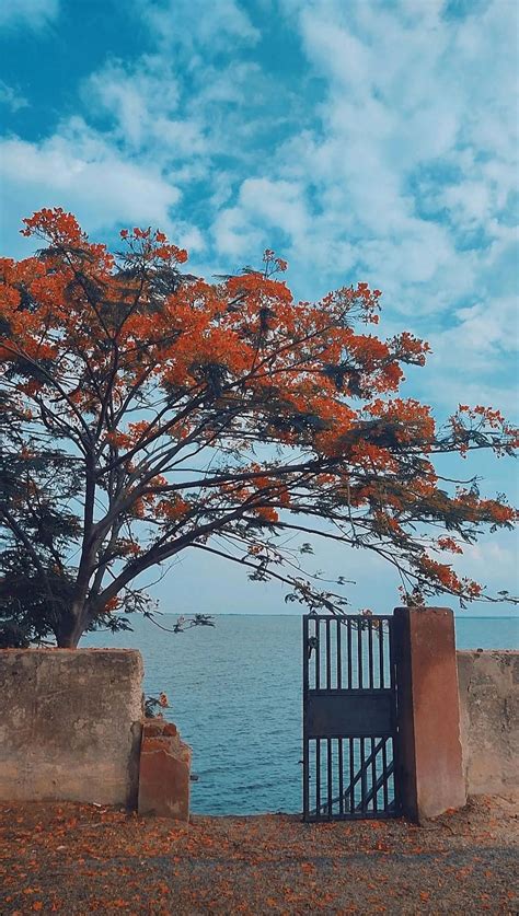 Singur Dam, Hyderabad : r/IncredibleIndia