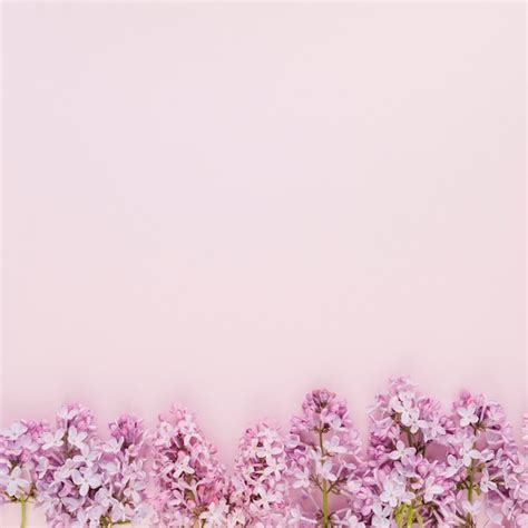 Free Photo Flowers