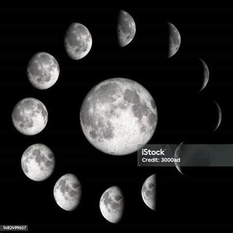infografis fase bulan foto stok  gambar  alam