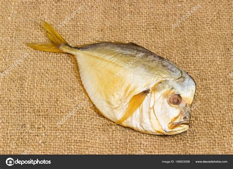 Atlantic Moonfish Recipe Besto Blog