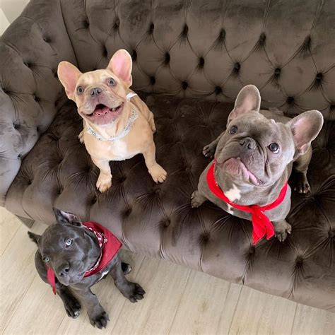 Does Megan Thee Stallion Have Kids? The Rapper Has Five Sons