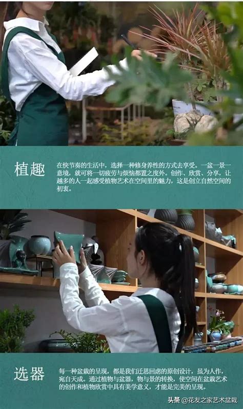 自然空間•盆栽與藝術 每日頭條