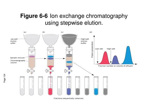 Ppt Lecture 7 Protein Purification Powerpoint Presentation Free Download Id296801