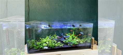 Аквариум купить в Уфе | Животные и зоотовары | Авито