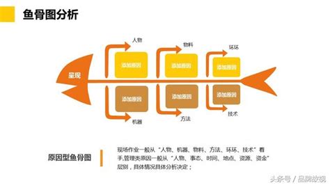 什麼是魚骨圖分析法？怎樣提高和改善使用效果 每日頭條