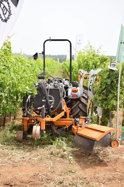 Enovitis In Campo La Scelta Della Puglia Premia Gli Organizzatori