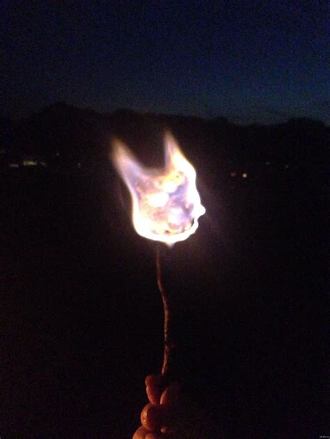 Зефир горит пламенем в форме кота | Пикабу