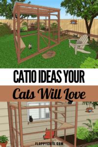 DIY Catio Plans & Catio Design Ideas | How To Build a Catio Space