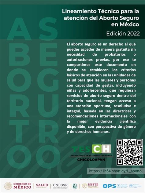 Lineamiento T Cnico Para La Atenci N Del Aborto Seguro En M Xico