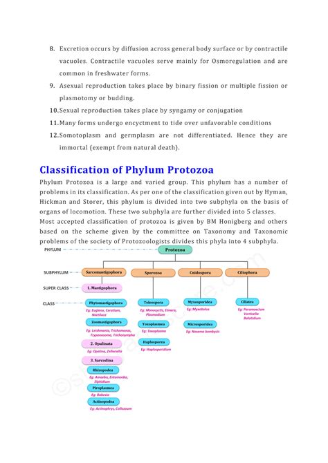 SOLUTION Phylum Protozoa General Characters And Classification Studypool