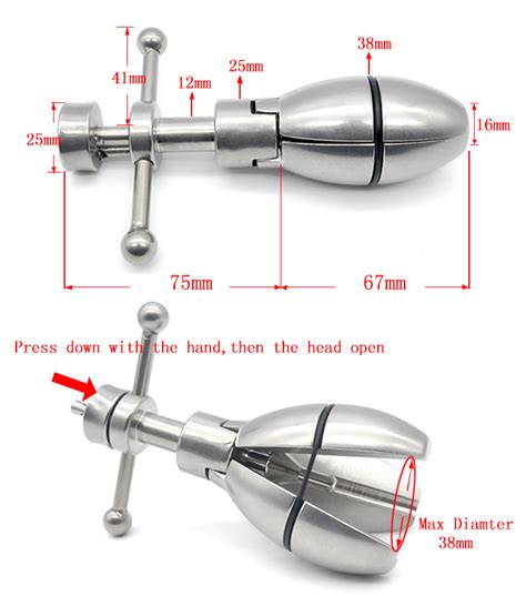 Locking Anal Plug Stainless Steel Locked In Lust
