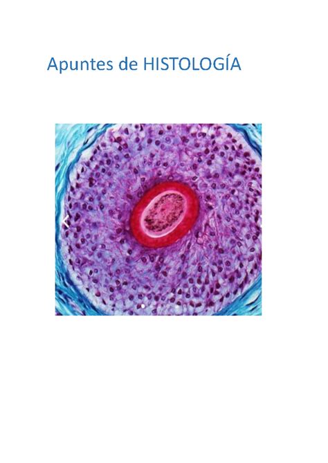 Apuntes DE Histo Histologia Y Embriologia Comparada Apuntes De