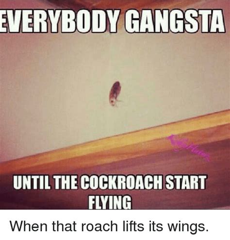 Flying Cockroach 9gag