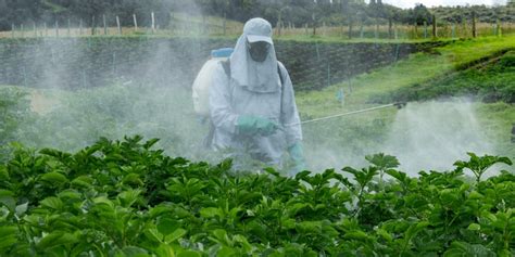 Fungicidas Impacto En La Salud Y El Medio Ambiente Tsi Off